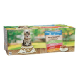 stuzzy cat bocconc farm 48p
