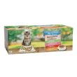 stuzzy cat bocconc farm 48p