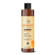specchiasol tricomnia - shampoo capelli grassi, 250ml