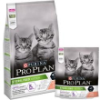 pp cat kitten sterilised salmone 1,5kg new  12419110 optistart