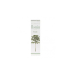 assenzio profumo 50 ml