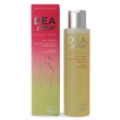 alta natura dea sense passione olio corpo
