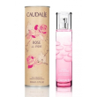 rose de vigne acqua profumata 50ml