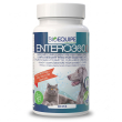 bioequipe entero360 probiotico intestinale cane e gatto – 24 miliardi