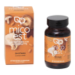 shiitake es 60tav
