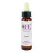 aspen cfe sto bot 10ml