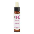 hornbeam cfe sto bot 10ml