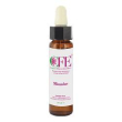 mimulus cfe sto bot 10ml