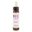 mimulus cemon flower essences stock bottle 10 ml