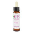 mustard cfe sto bot 10ml