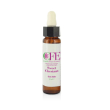 sweet chestnut cfe stock bottle 10ml