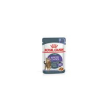 appetite control care in gelatina