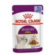royal canin gatto sensory smell busta in jelly 85 gr