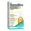 neoborocillina propolmiele spr