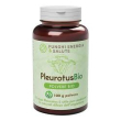 pleurotusbio 100g