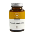 acerola masticabile 60cpr