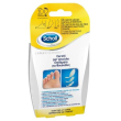 scholl cer vesciche mis miste