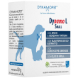 dynamo l small 20bust.2,5g