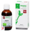 abete macerato glicerico 50 ml bio