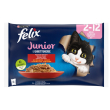 felix le ghiott j multip 4x85g
