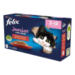 nestle' purina felix gatto ghiottonerie jelly junior selezioni manzo/pollo 12x85gr (bustina) multipa