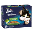 felix le ghiott sel verd 85g