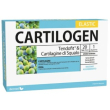 cartilogen elastic 20 fiale 15ml