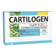 dietmed italia srl cartilogen elastic 20 flaconcini 15ml