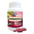 barbarossa 6:1 60cps