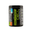 net integratori recovery cell 330g gusto arancia