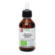 betulla toment amenti gd 100ml bio