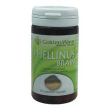 phellinus brain 60cps vegetali