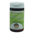 phellinus brain 60cps vegetali