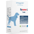 dynamo l large 20bust.10g