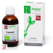 viburno macerato glicerico 50 ml bio