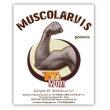 muscolarvis polvere 500 grammi dr giorgini - integratore a base di proteine e aminoacidi