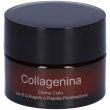 labo collagenina crema collo 6 collageni rapida penetrazione grado 2 5