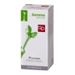 platano gd  50ml