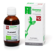 platano mg 50ml bio