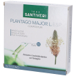 plantago major l esp 10 fiale da ml 100 ml soluzione orale