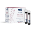 sauber systemlife antieta' collagene 10 flaconcini da 25 ml 250 ml sol