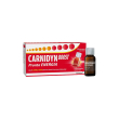 carnidyn boost 10 flaconi - pronta energia