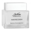 cosmeceutical nam recovery mas