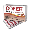 cofer fte 20 cps