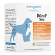 digea f small 20bust 1g