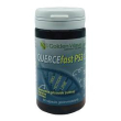 quercefast p53 60cps gastro