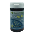 quercefast p53 60cps gastro