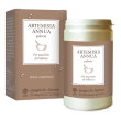 artemisia annua polv.180g