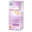 psyllogel fast f 10stick