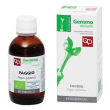 faggio mg 50ml bio
